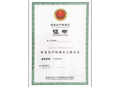 點擊查看詳細信息<br>標題：安全生產(chǎn)標準化證書 閱讀次數(shù)：3179